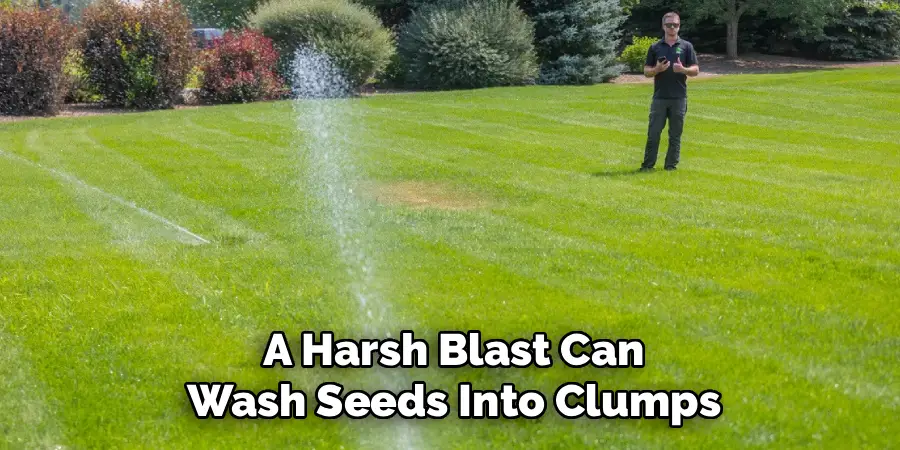 A Harsh Blast Can
Wash Seeds Into Clumps