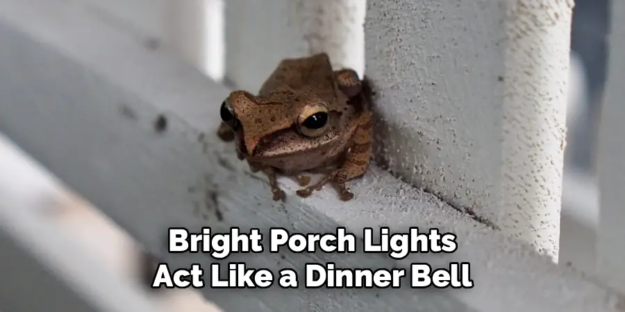 Bright Porch Lights
Act Like a Dinner Bell