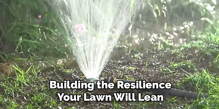 Building the Resilience
Your Lawn Will Lean