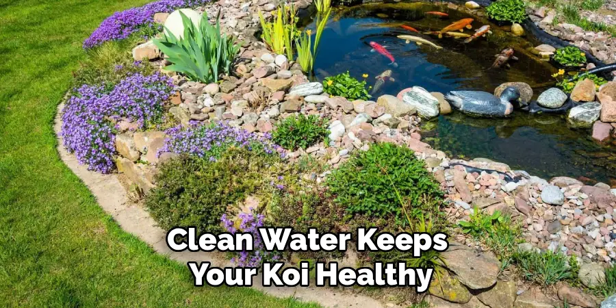 Clean Water Keeps
Your Koi Healthy