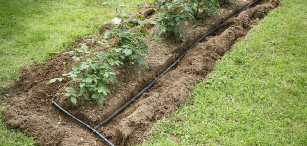 How to Unclog Soaker Hose