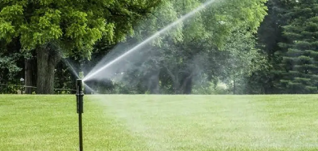 How to Water After Fertilizing Lawn