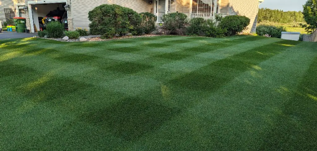 How to Apply Liquid Iron to Lawn