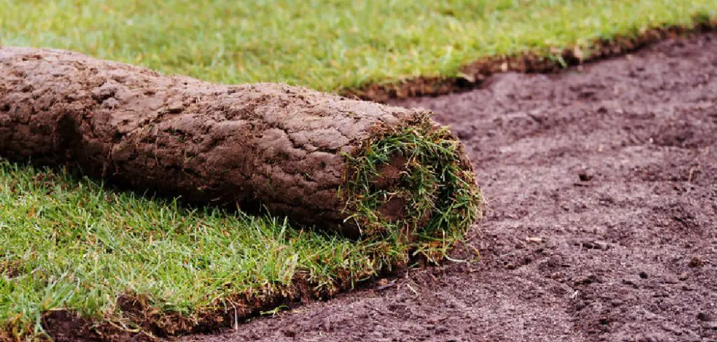 How To Improve Clay Soil Lawn