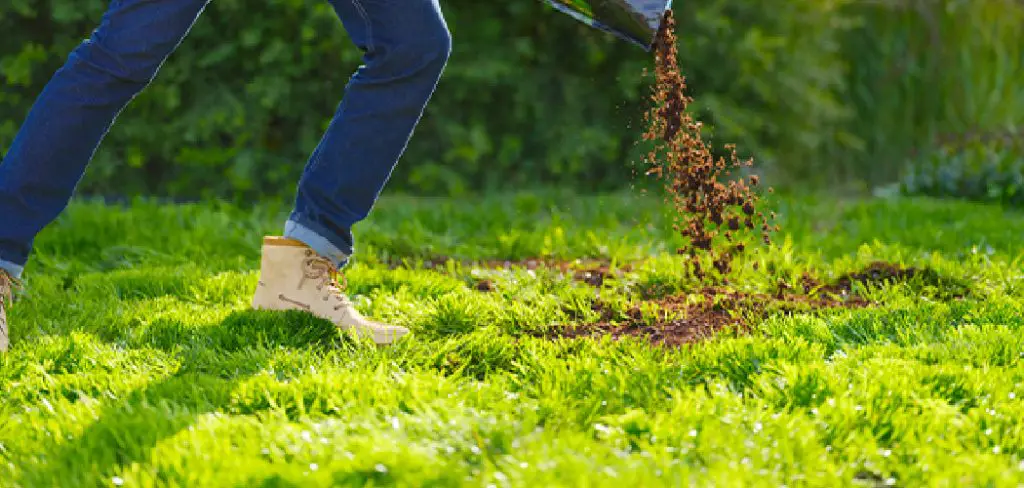 How To Spread Peat Moss on Lawn