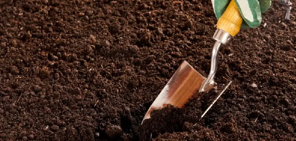 How to Clean Soil for Planting