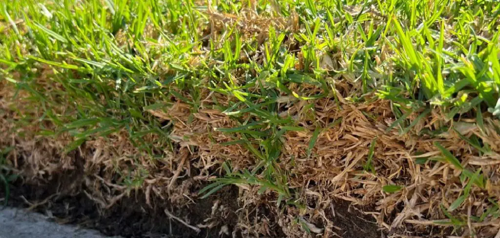 How to Fix Spongy Lawn