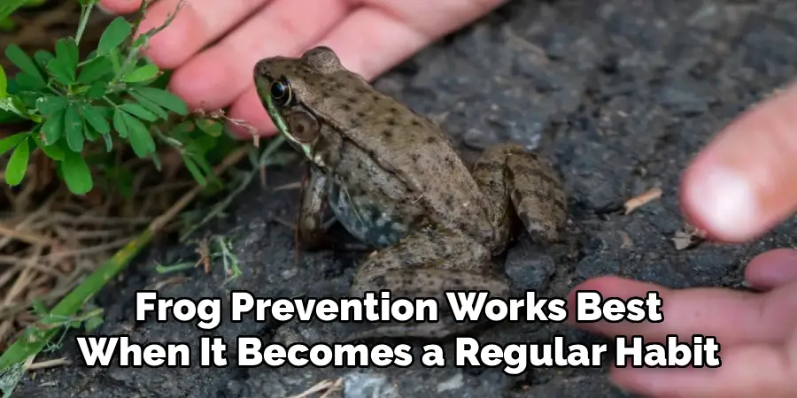 Frog Prevention Works Best
When It Becomes a Regular Habit