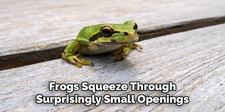Frogs Squeeze Through
Surprisingly Small Openings