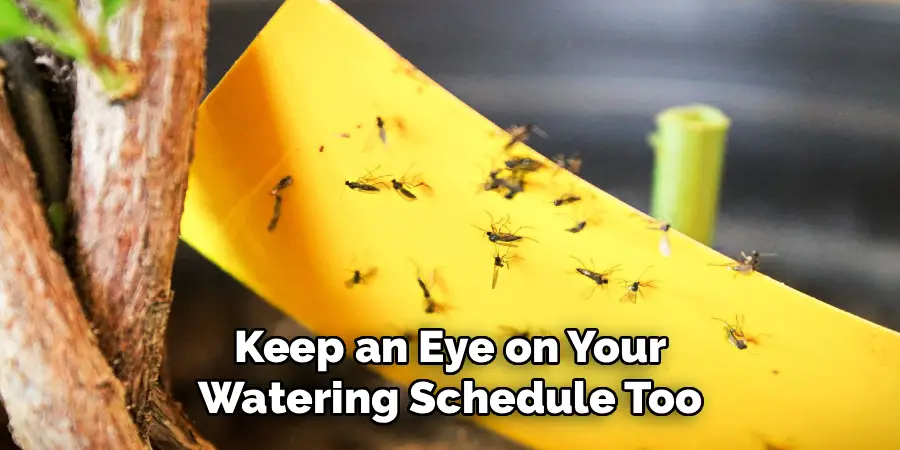 Keep an Eye on Your
Watering Schedule Too