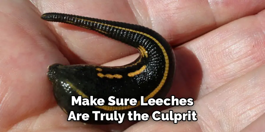 Make Sure Leeches
Are Truly the Culprit