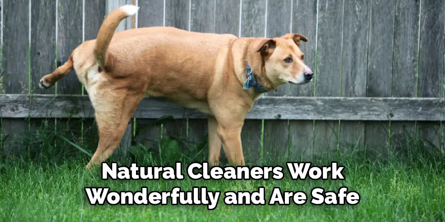 Natural Cleaners Work
Wonderfully and Are Safe