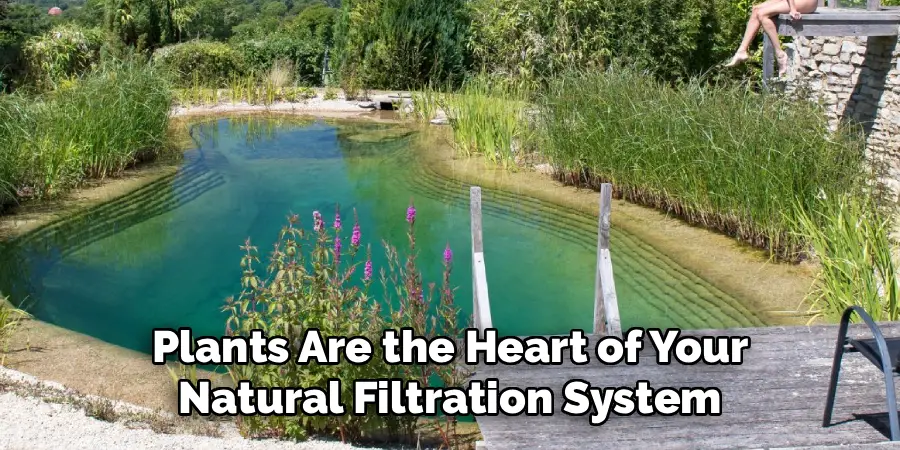 Plants Are the Heart of Your
Natural Filtration System