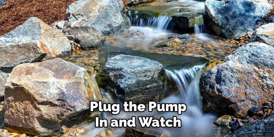 Plug the Pump
In and Watch