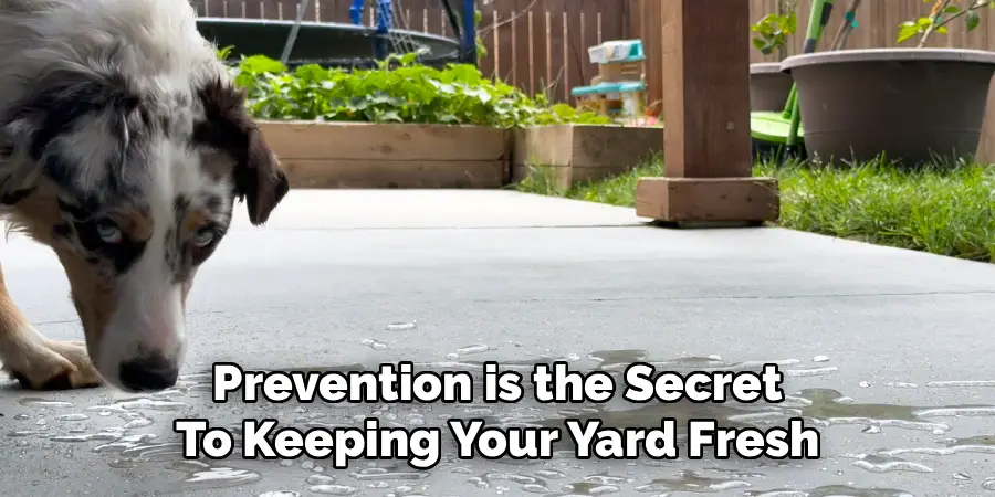 Prevention is the Secret
To Keeping Your Yard Fresh