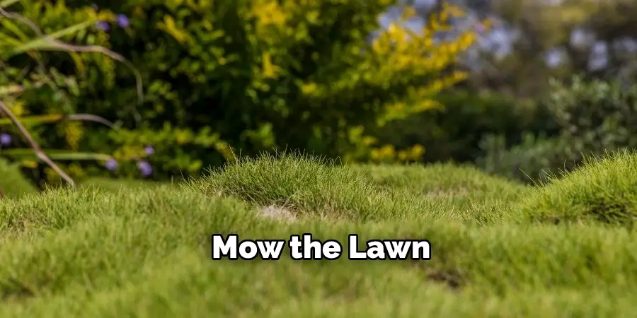 Mow the Lawn
