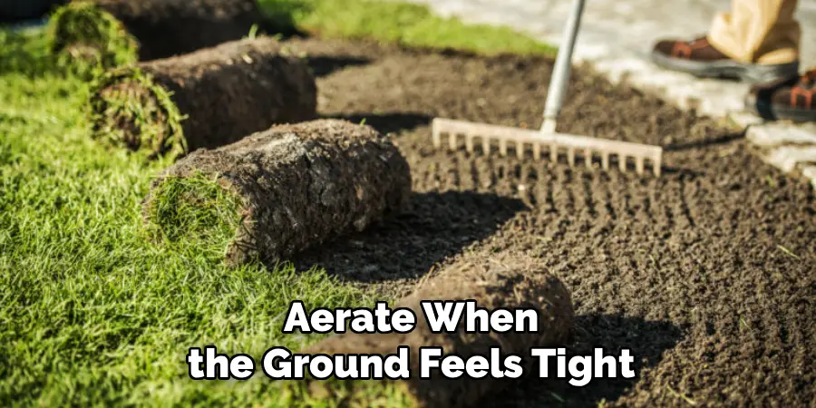Lawn Absorb Nutrients