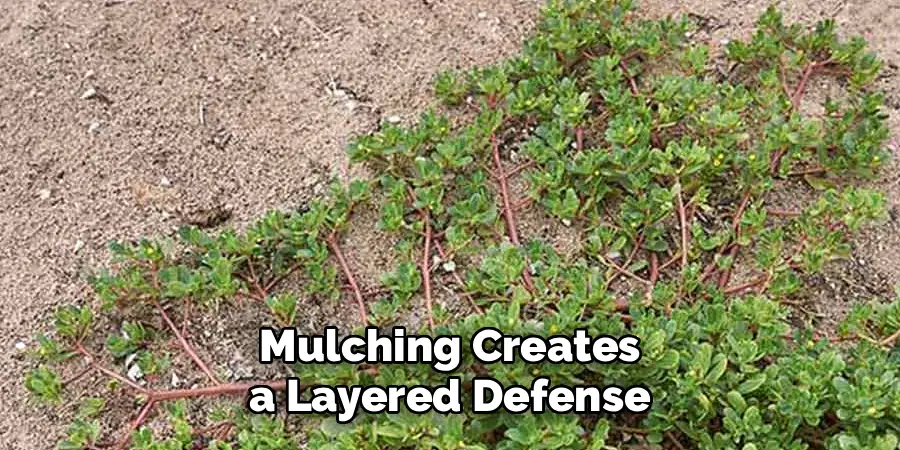 Mulching Creates a Layered Defense