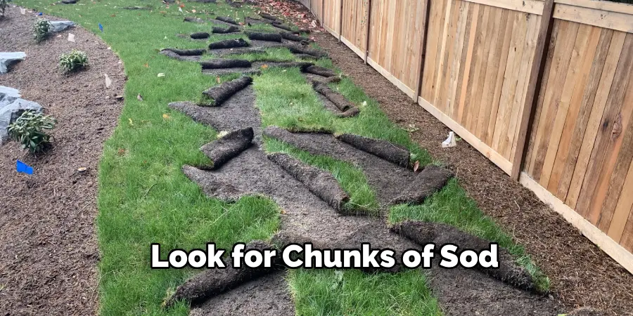Look for Chunks of Sod