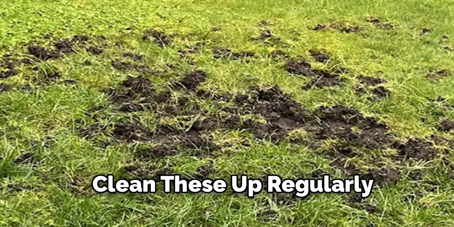 Clean These Up Regularly