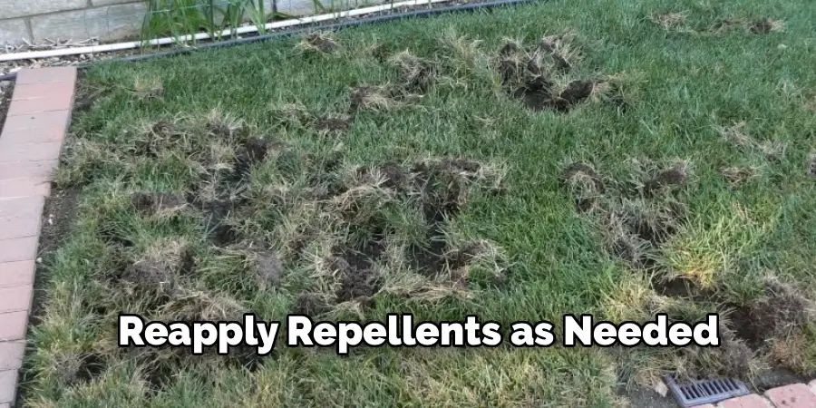 Reapply Repellents as Needed