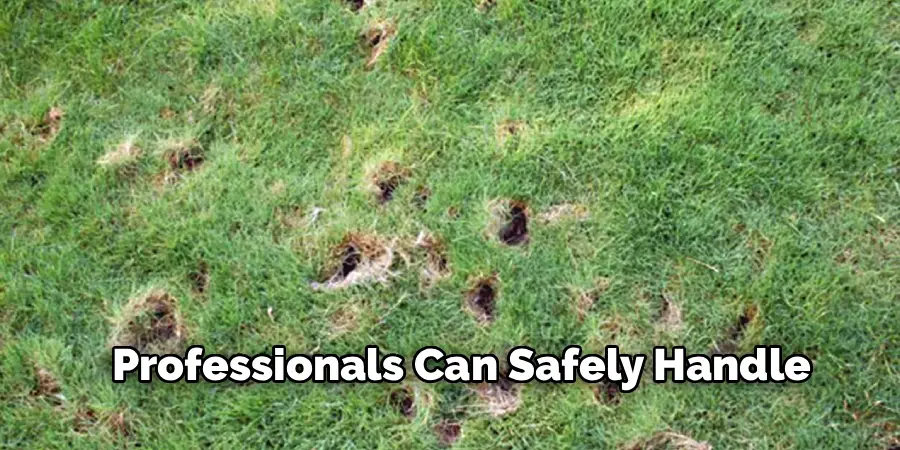 Professionals Can Safely Handle