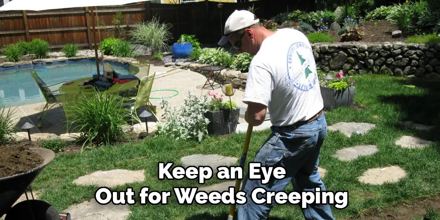 Keep an Eye Out for Weeds Creeping