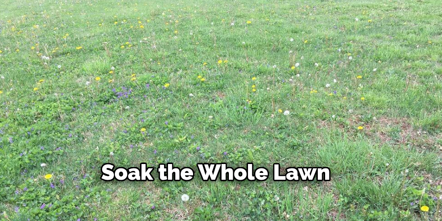 Soak the Whole Lawn