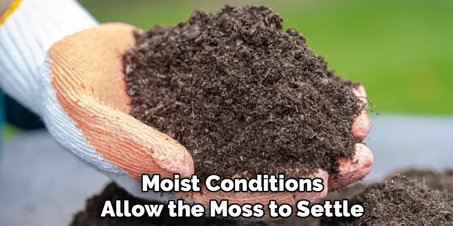 Moist Conditions Allow the Moss to Settle