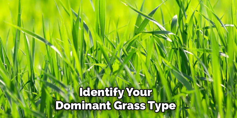 Identify Your Dominant Grass Type