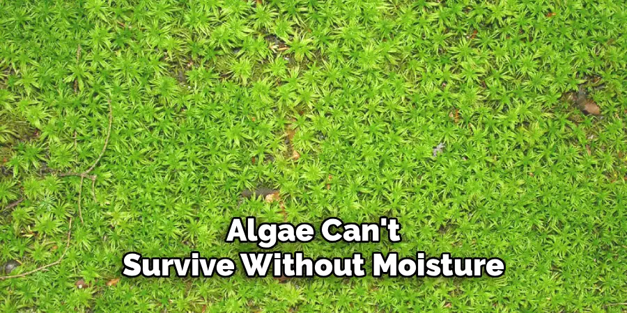 Algae Can't Survive Without Moisture