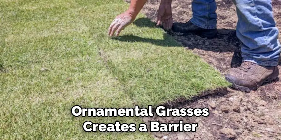Ornamental Grasses Creates a Barrier