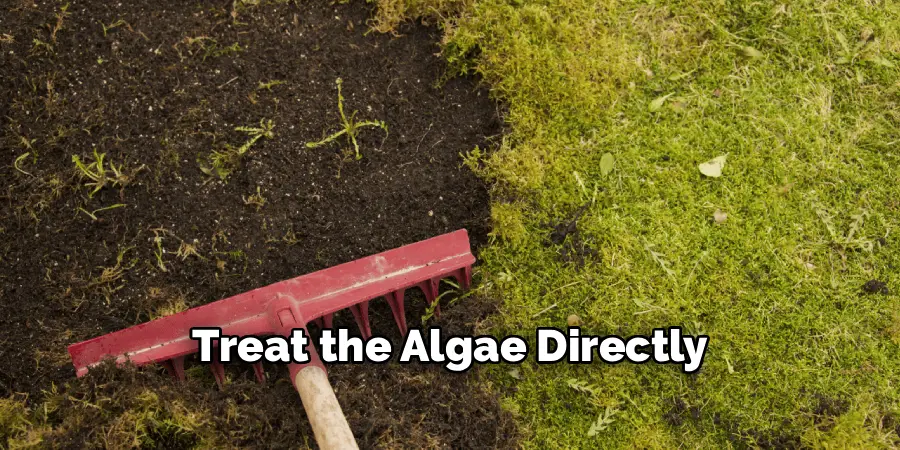 Treat the Algae Directly