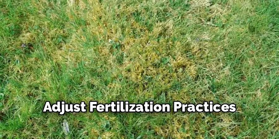 Adjust Fertilization Practices