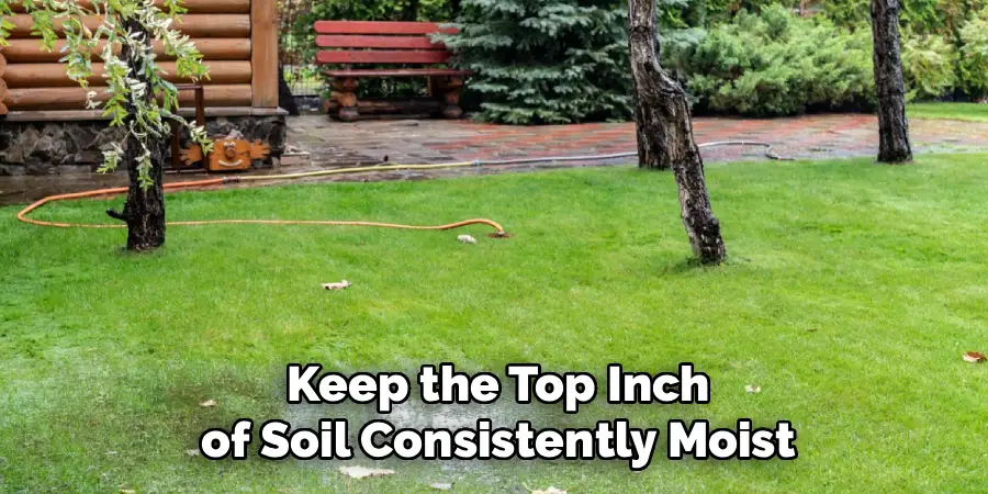 Keep the Top Inch of Soil Consistently Moist