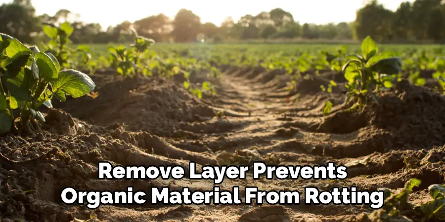 Remove Layer Prevents Organic Material From Rotting