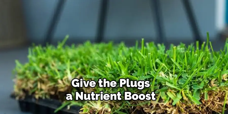 Give the Plugs a Nutrient Boost