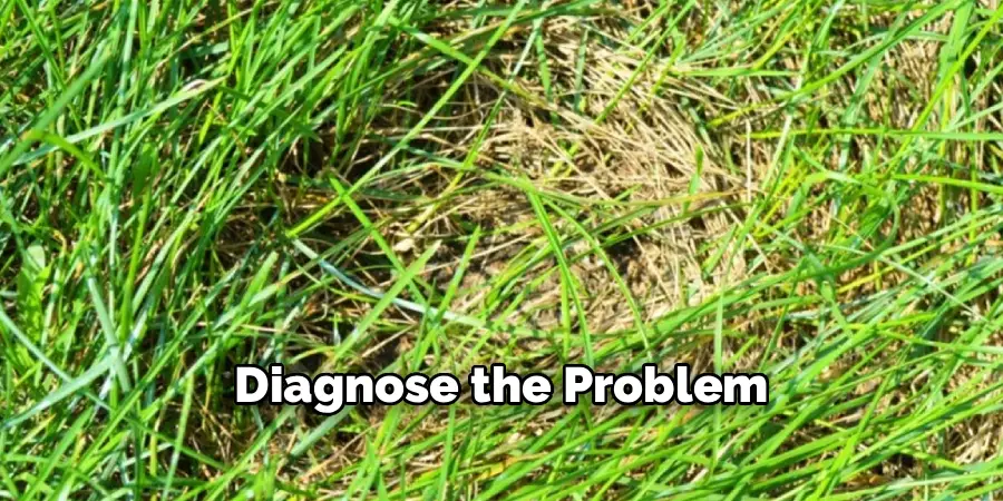 Diagnose the Problem