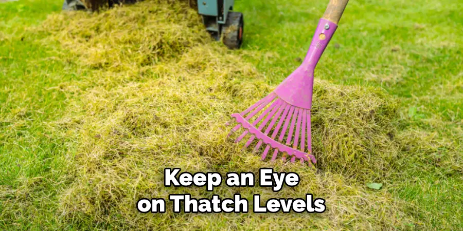 Keep an Eye on Thatch Levels