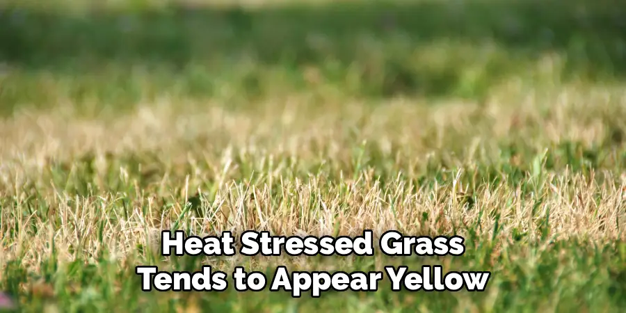 Heat Stressed Grass Tends to Appear Yellow