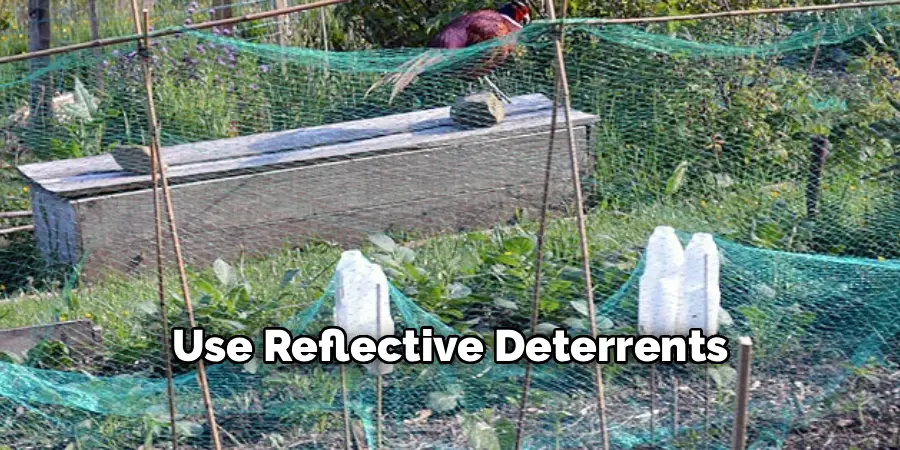 Use Reflective Deterrents