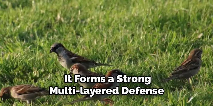 It Forms a Strong Multi-layered Defense