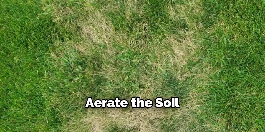 Aerate the Soil