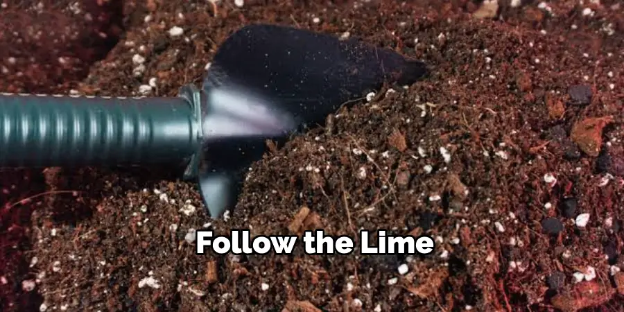 Follow the Lime