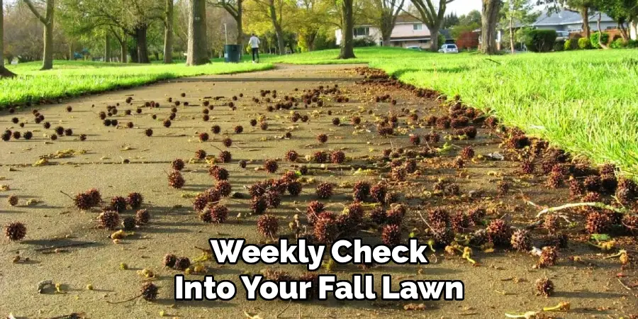 Weekly Check Into Your Fall Lawn
