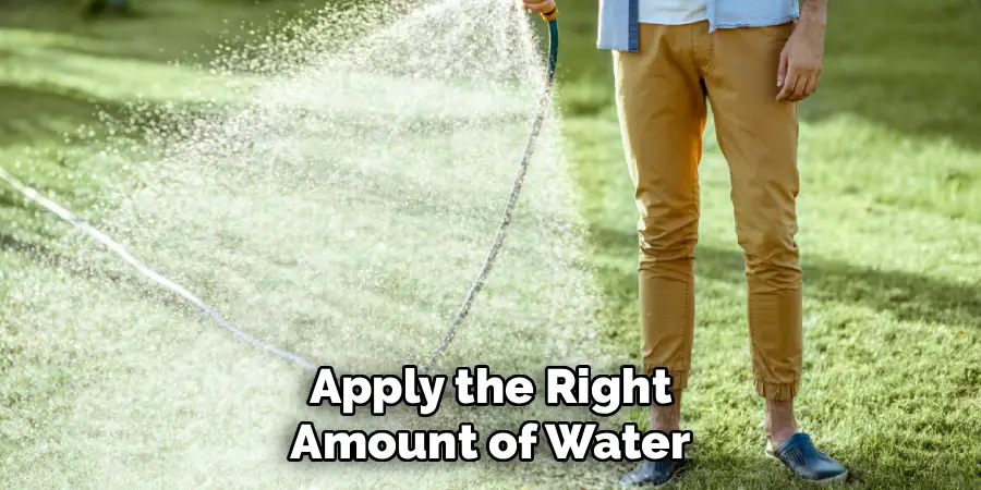 Apply the Right Amount of Water