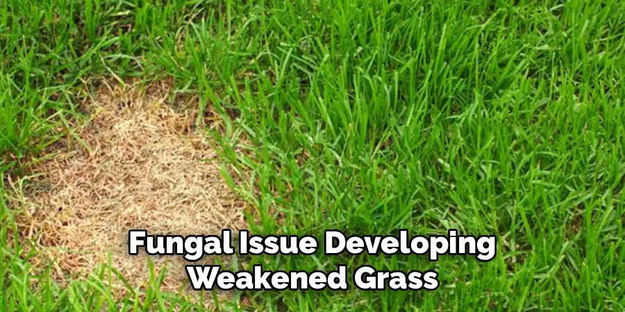 Fungal Issue Developing Weakened Grass