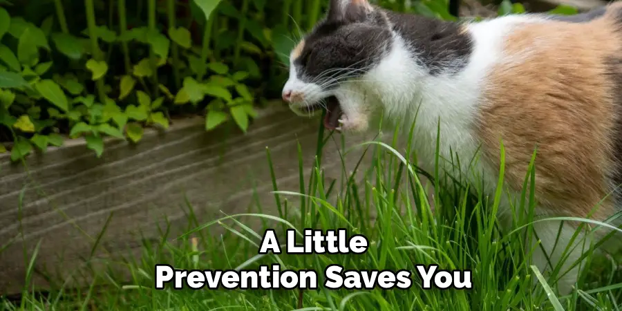 A Little Prevention Saves You