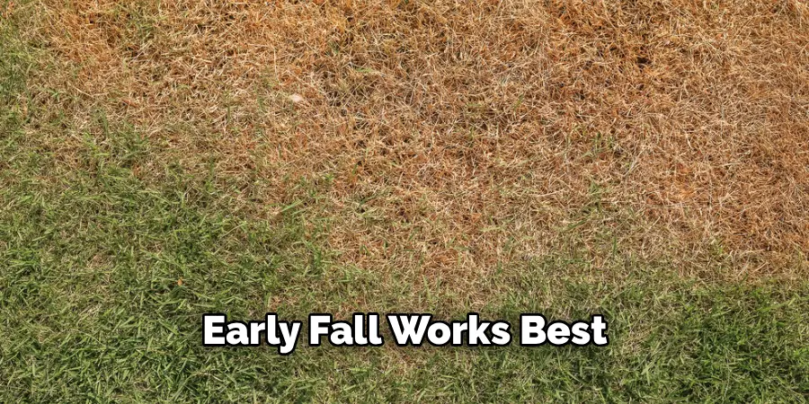 Early Fall Works Best