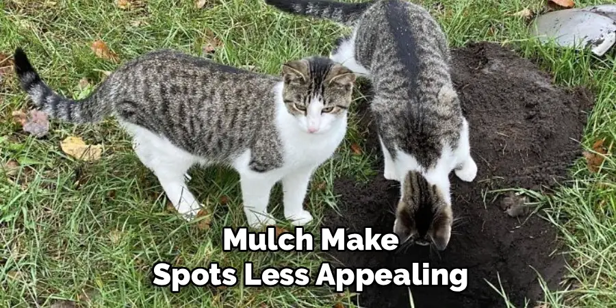 Mulch Make Spots Less Appealing